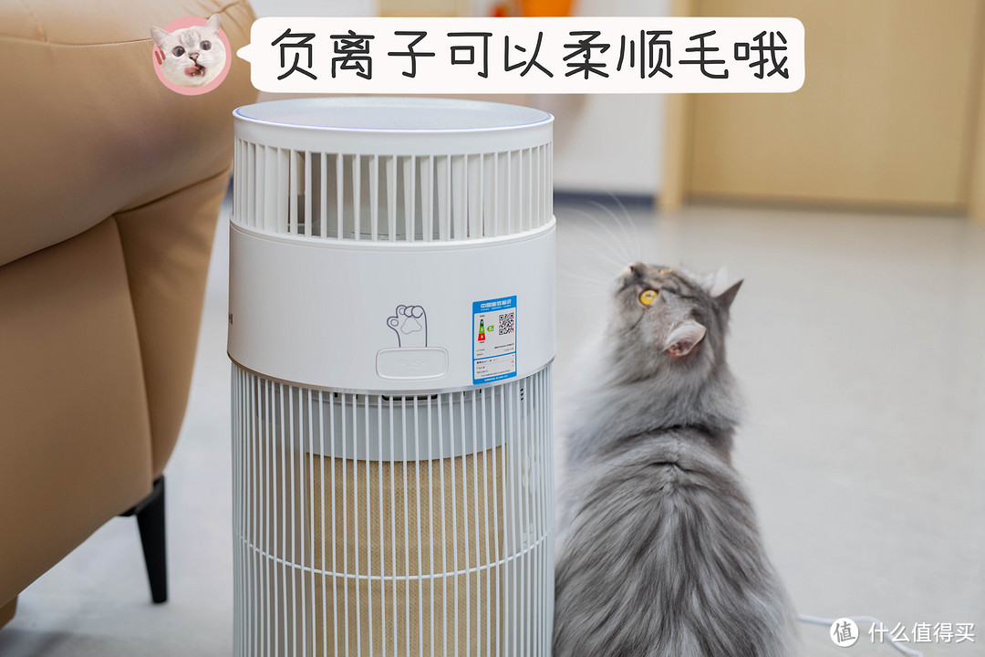 猫毛净化两手抓！霍尼韦尔H-Cat猫用空气净化器实测丨养猫家庭必备的吸浮毛、除过敏原、空气消杀利器