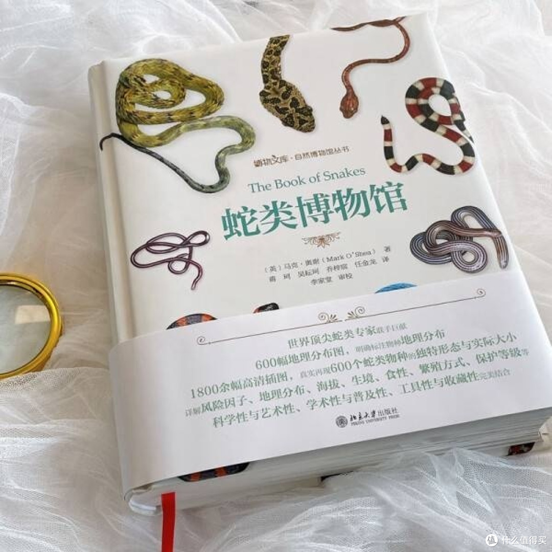 蛇类博物馆特别纪念版:马克·奥谢的蛇类博物大百科