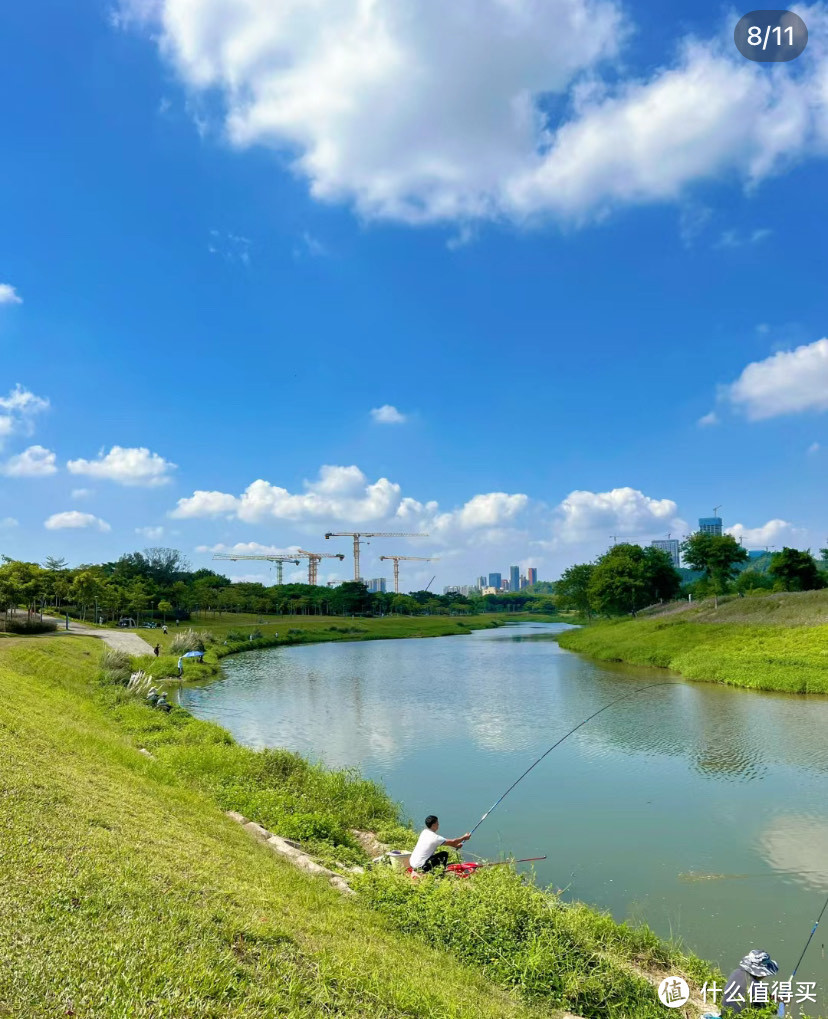 一个适合钓鱼的湿地公园