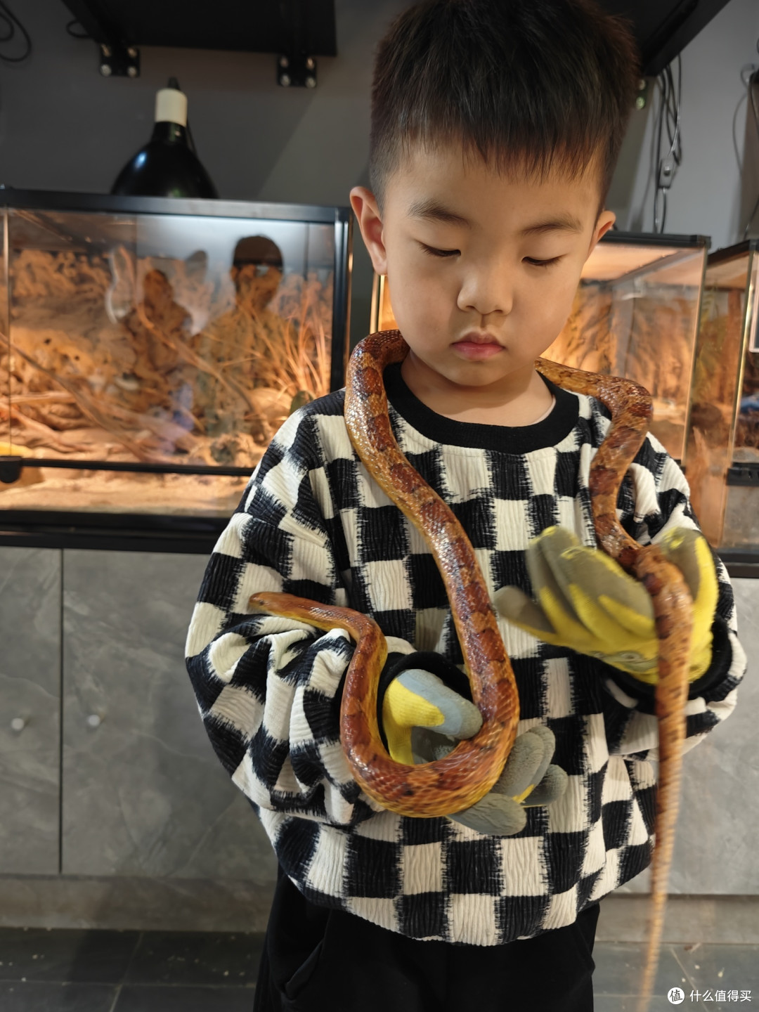 好大儿养成记