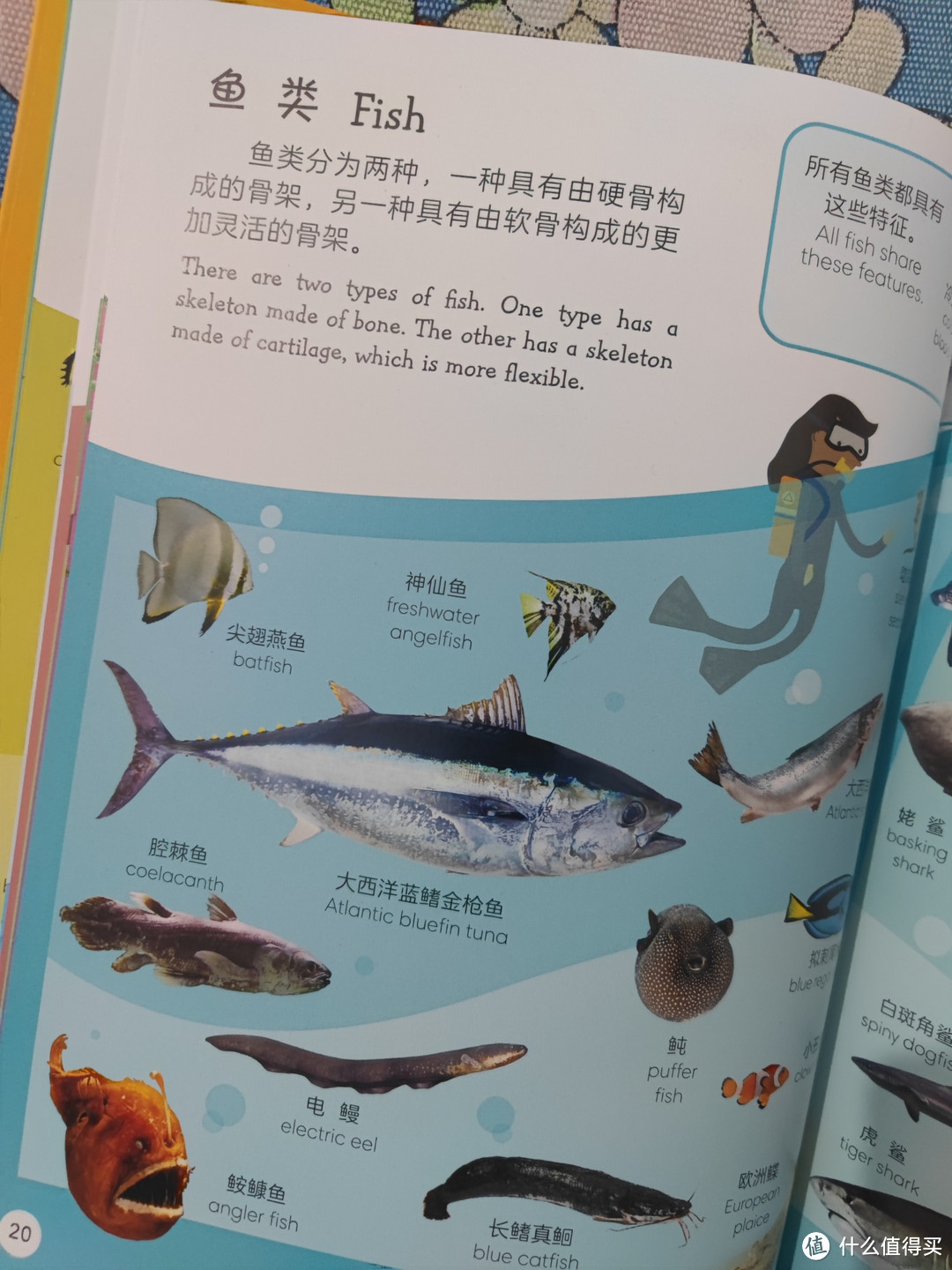 写给孩子们的能学英语的动物百科