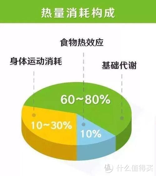 小白零基础掌握减肥技巧，一篇搞懂减脂底层逻辑，别再让智商税掏空你的钱包