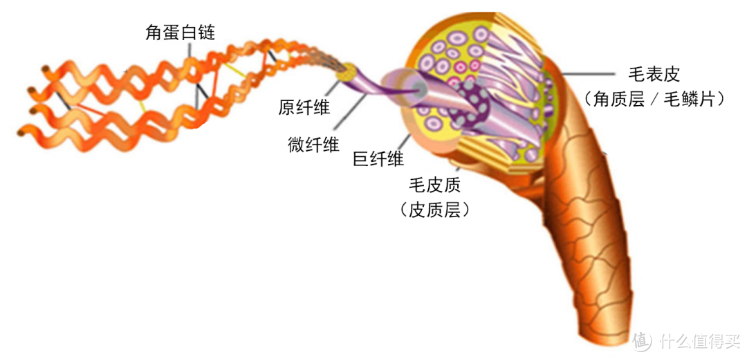 迪丽热巴枯坐一夜只为风干头发，别再让湿哒哒的头发成为旅途困扰