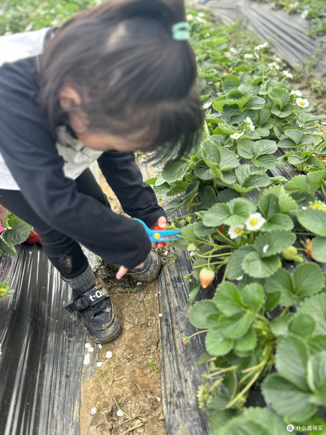 带上宝贝去户外，快乐成长
