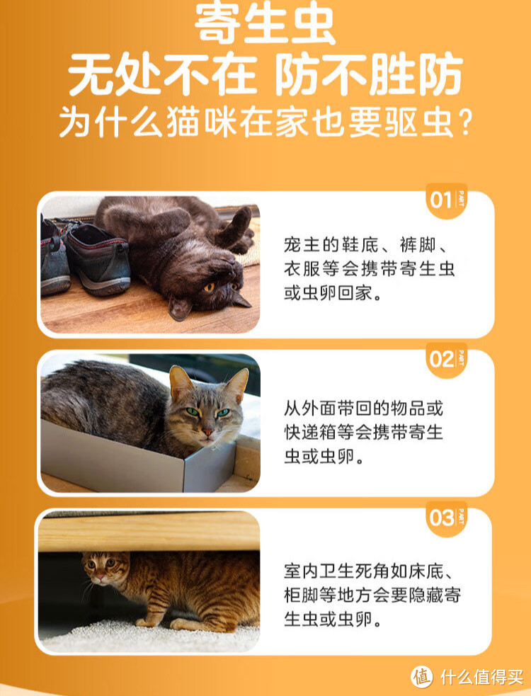 想让猫猫健康快乐的成长，你需要定期给它驱虫