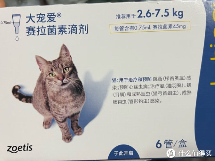 想让猫猫健康快乐的成长，你需要定期给它驱虫