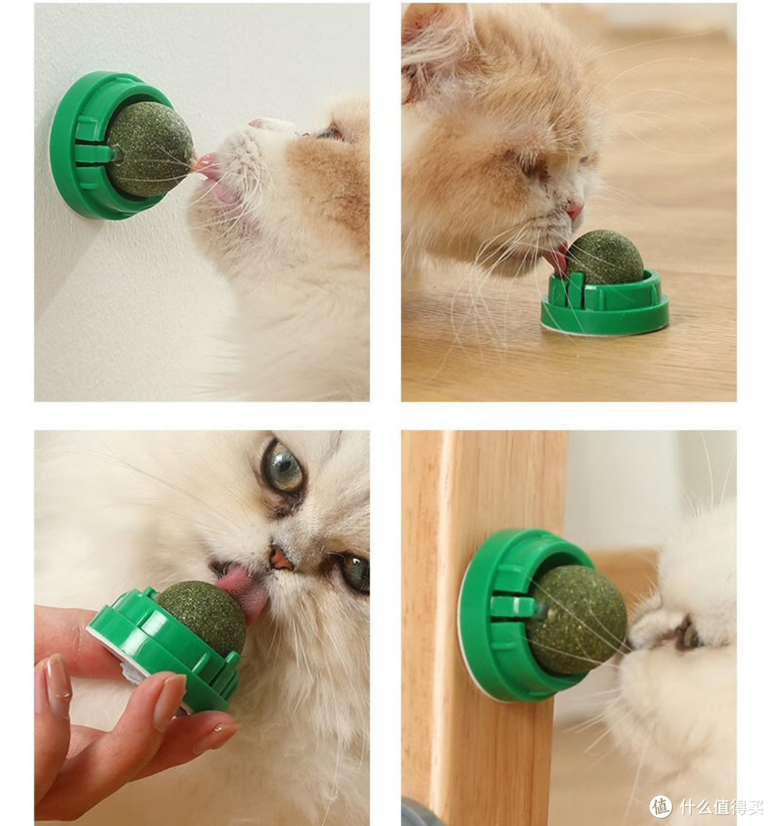 小猫咪的解压磨牙，清新口气玩具分享。