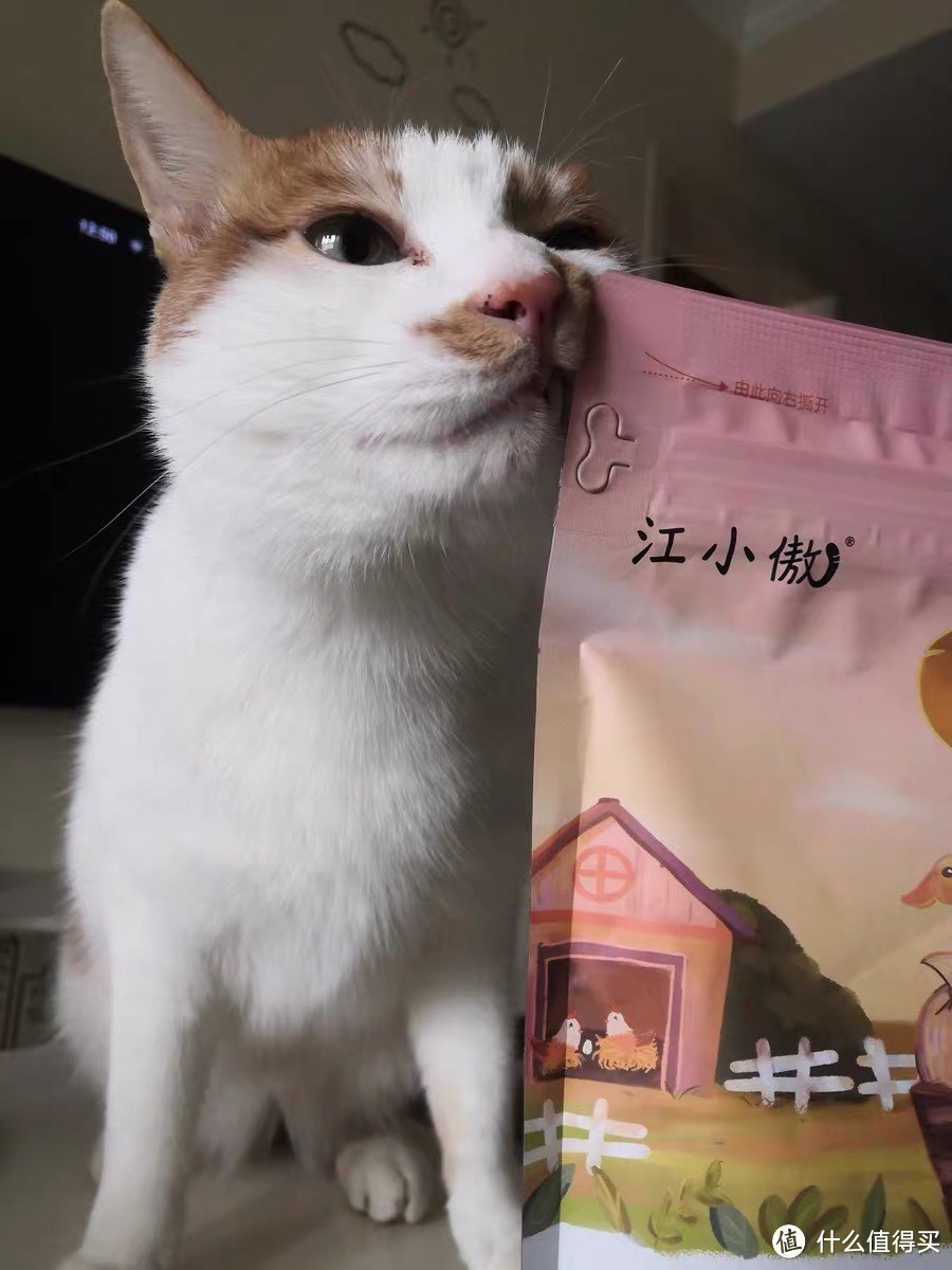 分享自用猫粮