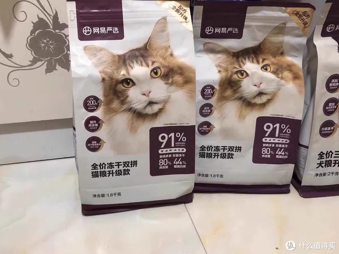 四款猫粮真实分享