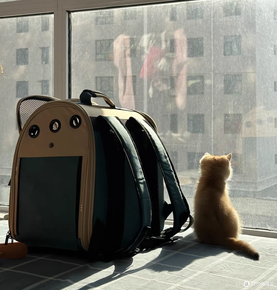 可以装宠物猫的背包,太好用了