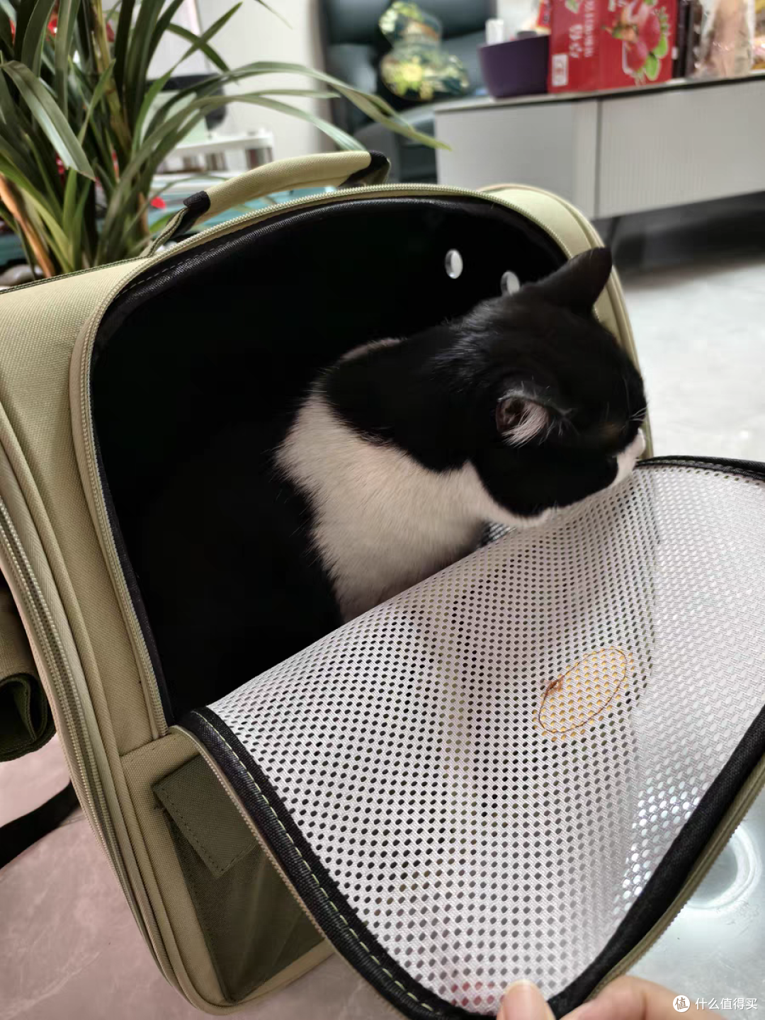 小猫很喜欢的便携小窝