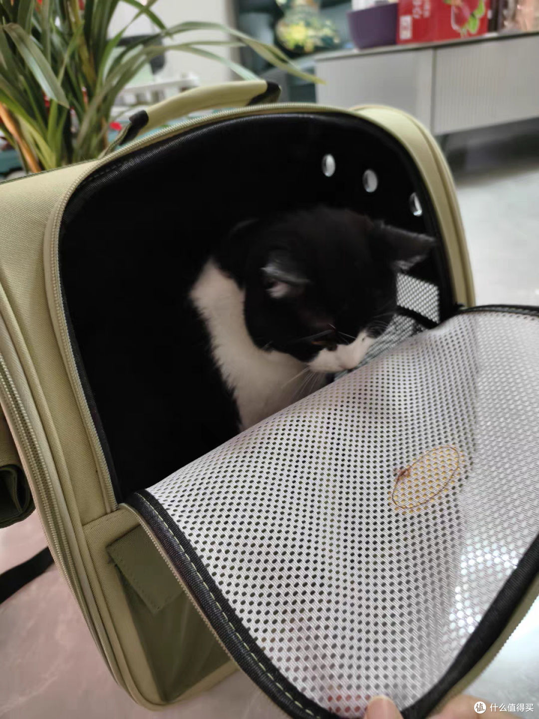 小猫很喜欢的便携小窝