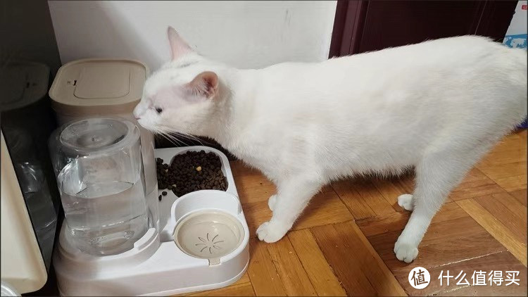 宠物养殖的新选择：猫碗狗碗双碗自动喂食器