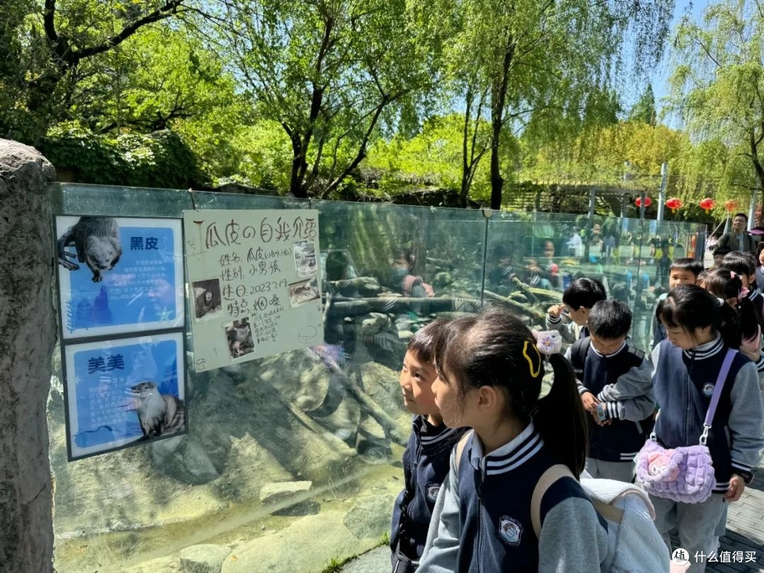 探索神秘大自然的春游