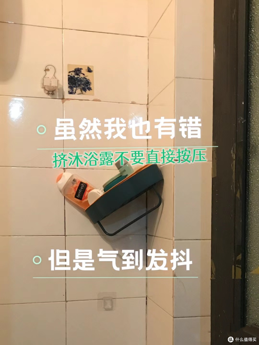淋浴房洗浴用品这么收纳 方便又简洁