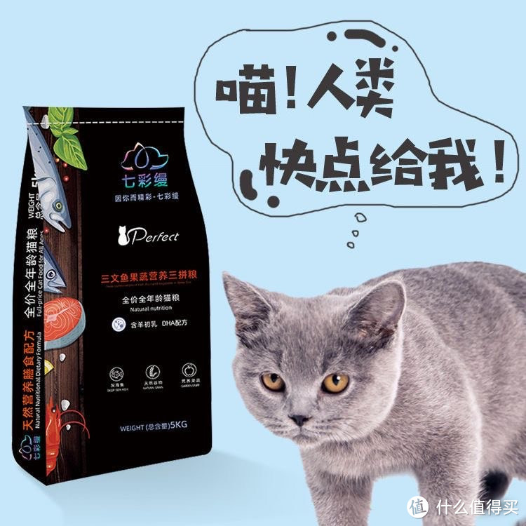 盘点3款均价4元1斤，适合投喂流浪猫的平价猫粮