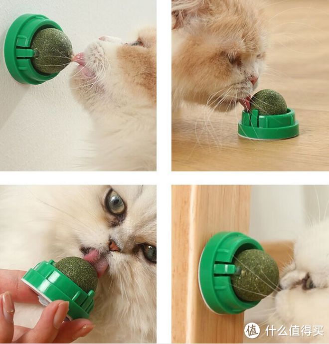 三款猫咪玩具，能助磨牙，解闷，真是个神器啊！