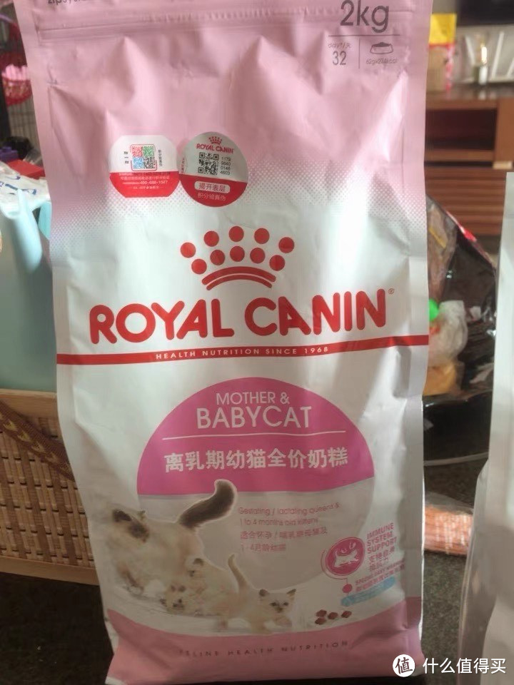 皇家BK34：孕猫及1-4月龄幼猫的首选营养之粮