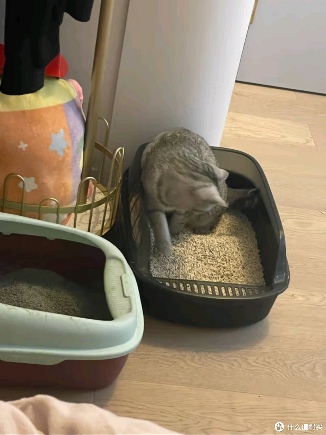 猫咪喜欢的猫砂盆