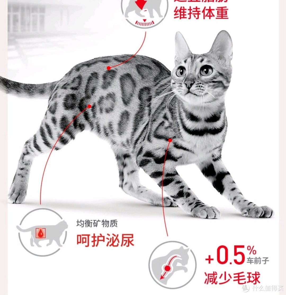 皇家猫粮 成猫猫粮 营养均衡 F32 通用粮 1-7岁 2KG