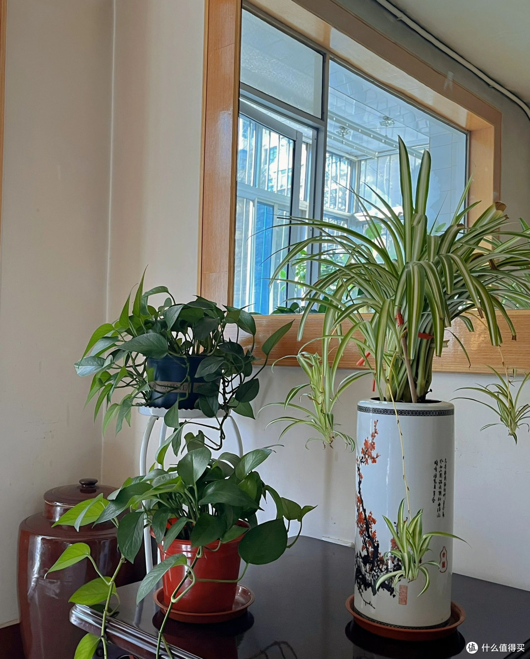 女子晒86岁姥姥的家,房子虽老,但干净治愈,引100万网友围观