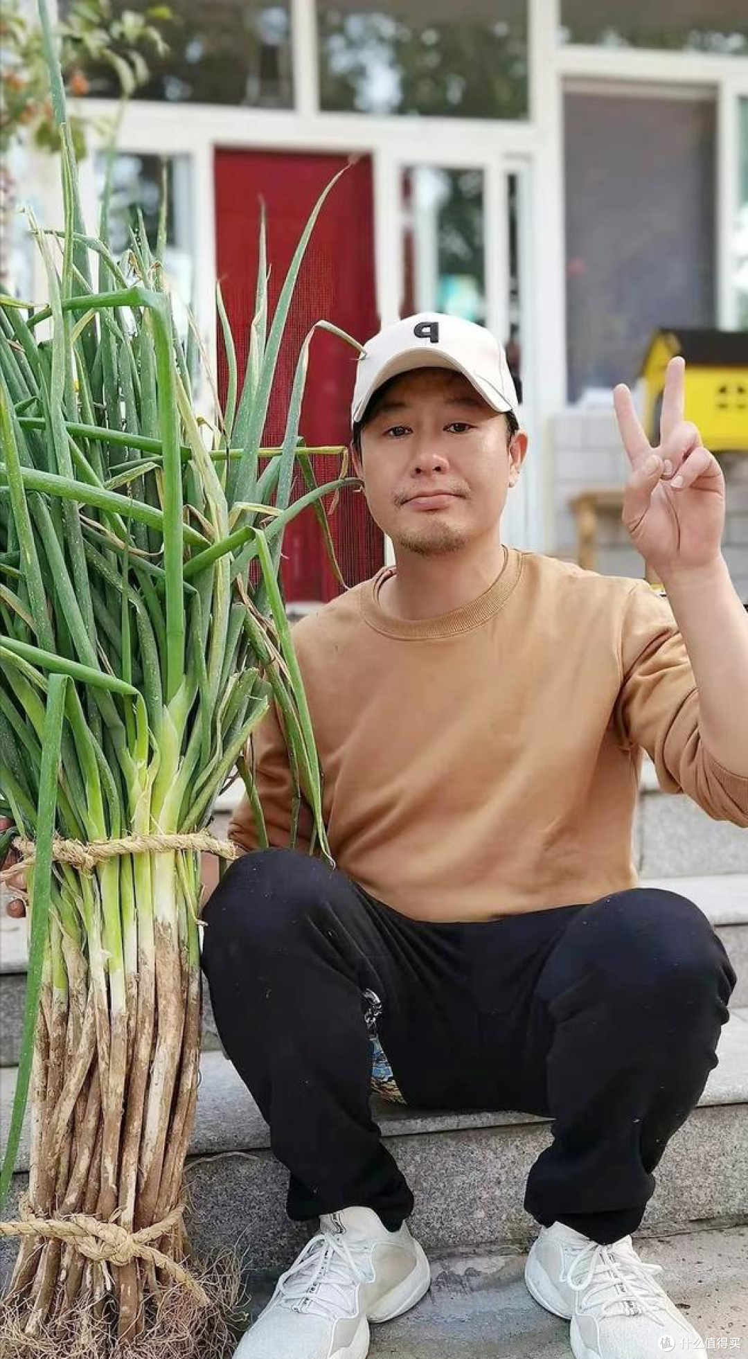 张颂文的“院子”火了,种菜遛弯,阅读写作,粗茶淡饭,乐在其中