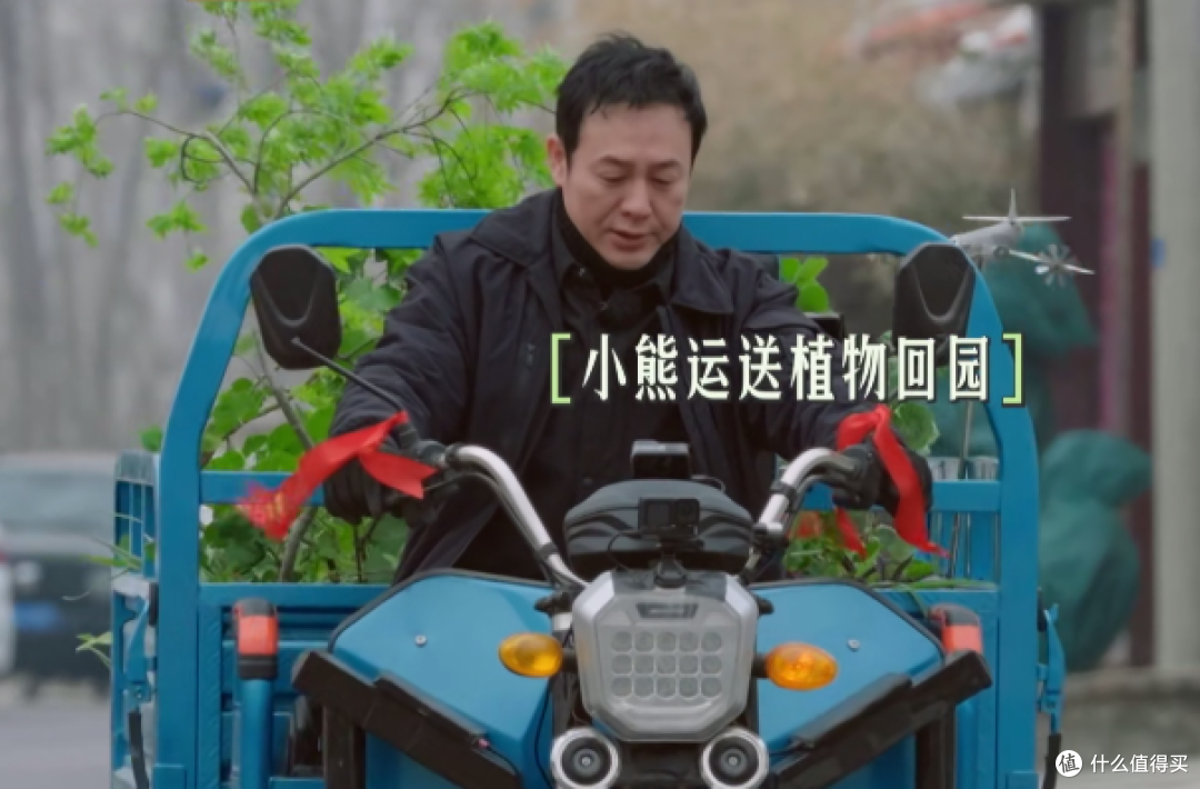 张颂文的“院子”火了,种菜遛弯,阅读写作,粗茶淡饭,乐在其中