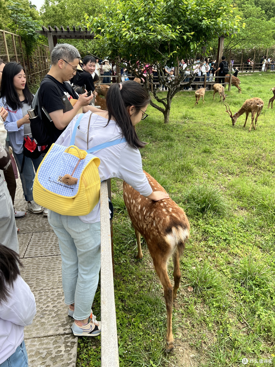 五一遛娃好去处——良渚遗址公园