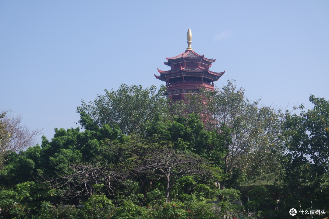 五一长假游玩之厦门园博苑