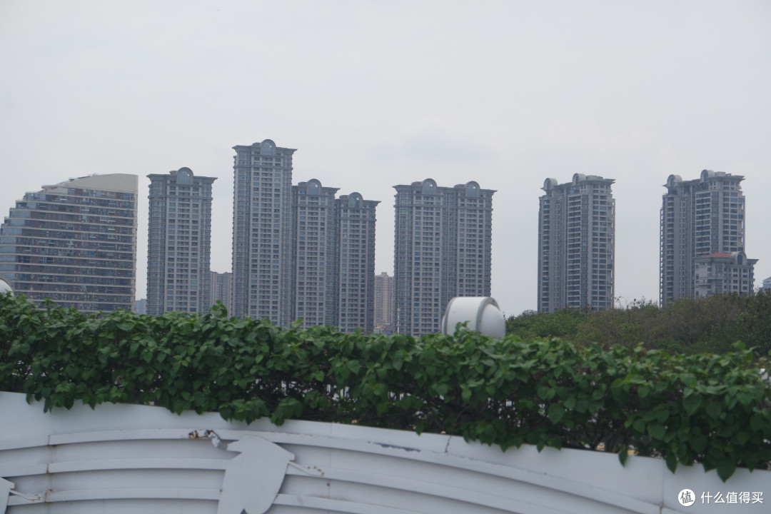 五一长假游玩之厦门园博苑