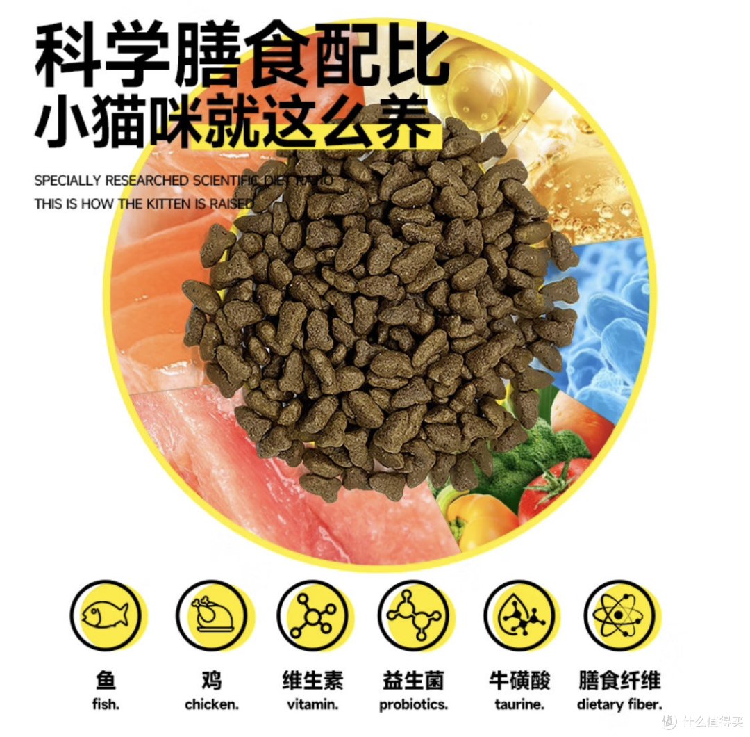 皇家待遇or平民餐？性价比猫粮的终极对决！