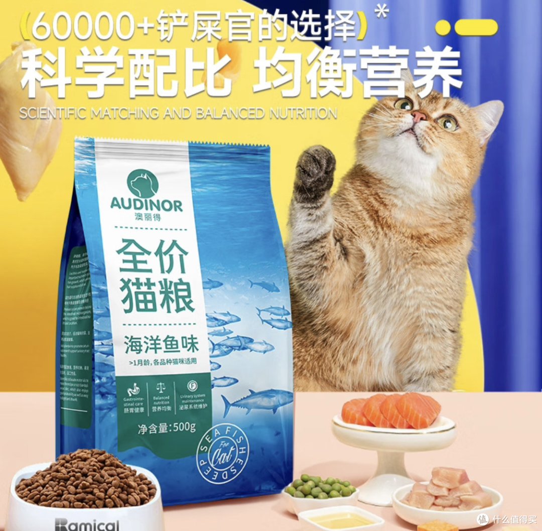 皇家待遇or平民餐？性价比猫粮的终极对决！