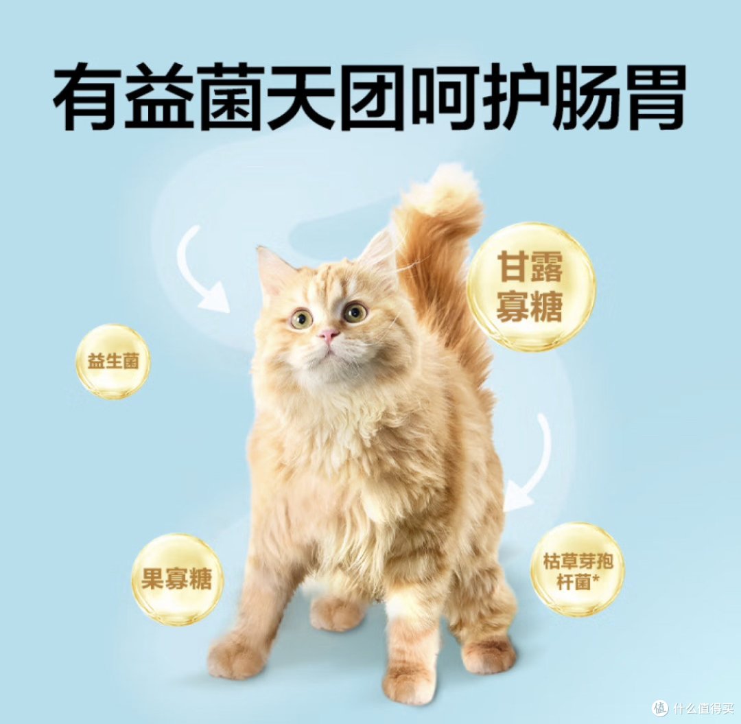 皇家待遇or平民餐？性价比猫粮的终极对决！