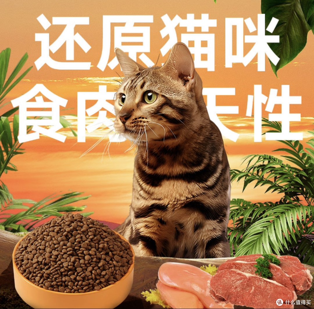 皇家待遇or平民餐？性价比猫粮的终极对决！