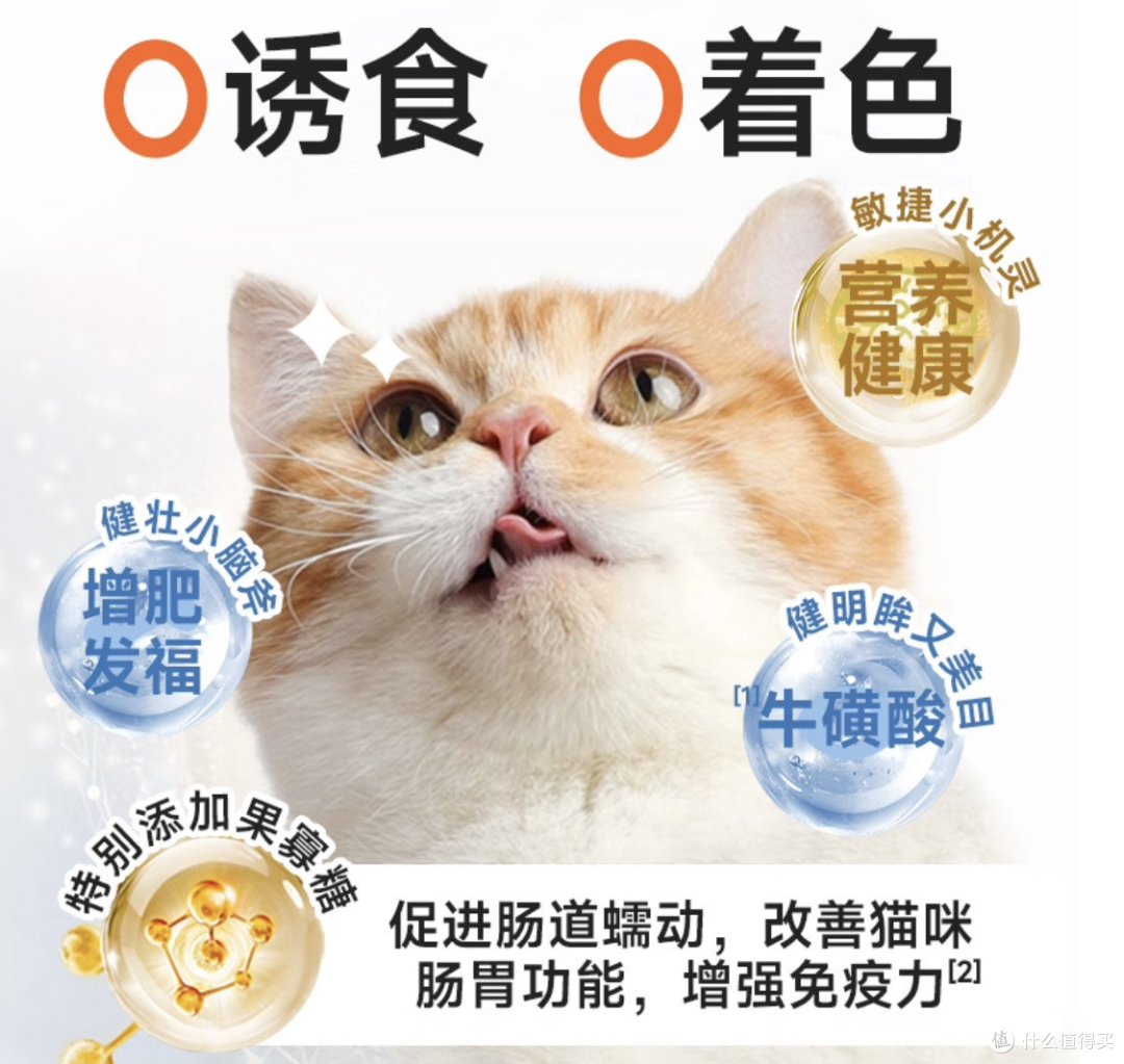 皇家待遇or平民餐？性价比猫粮的终极对决！