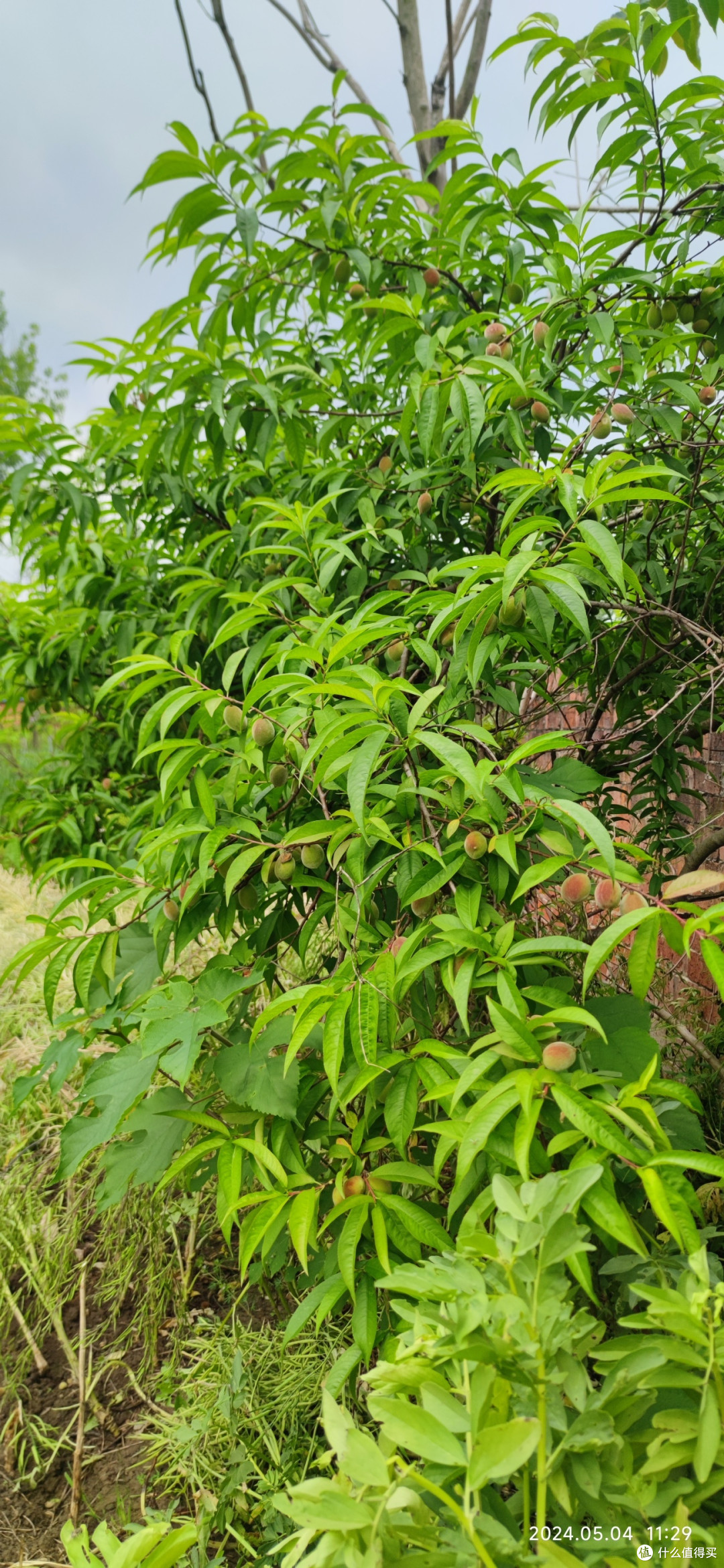 有回家,就会有再出发。