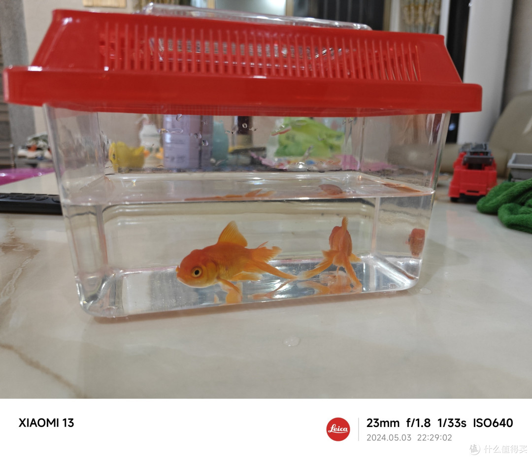 玩鱼缸的小小心得,全文5分钟。多图提醒