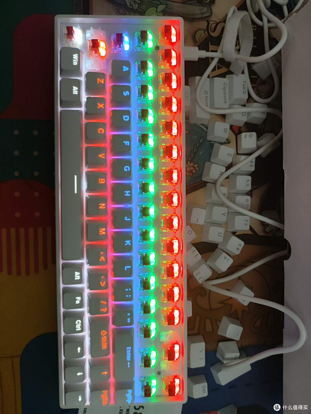 背光