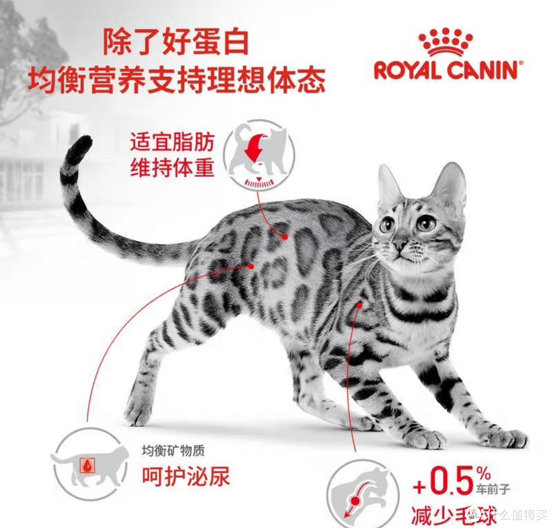 猫咪成长必备！皇家猫粮F32，1-7岁成猫的均衡营养选择