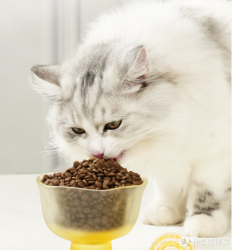 分享一款诚实一口的全价猫粮，养猫人都知道的牌子！