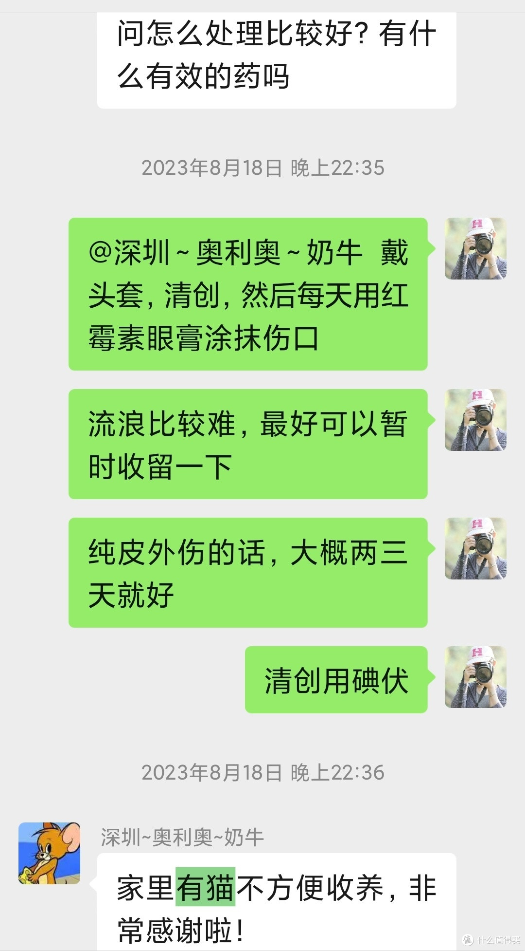 领养代替购买：那些我送养出去的小猫们