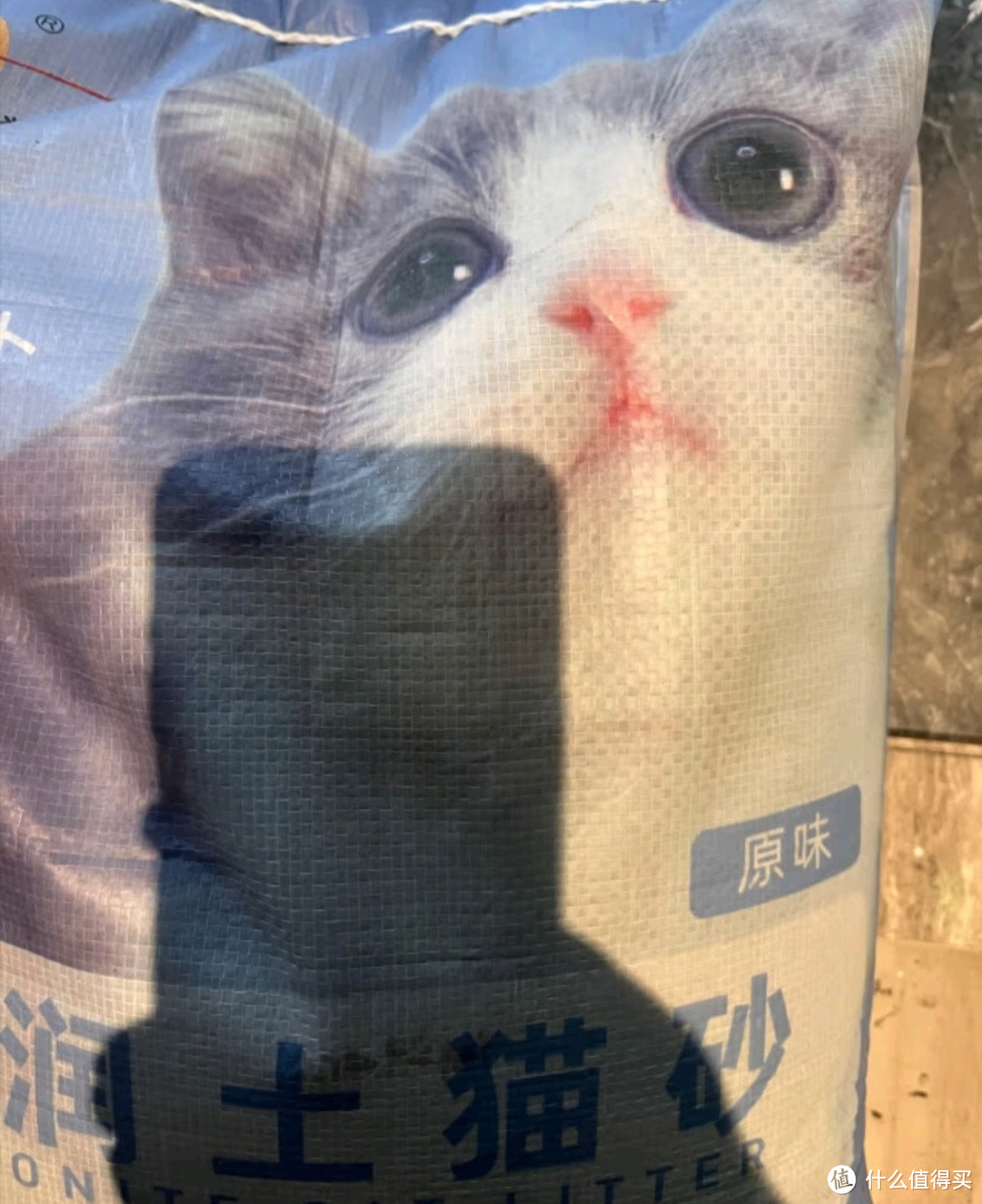 给猫咪干净的家