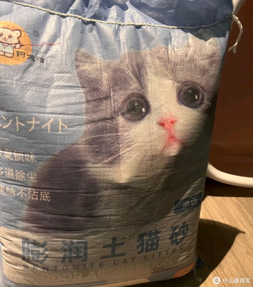 给猫咪干净的家