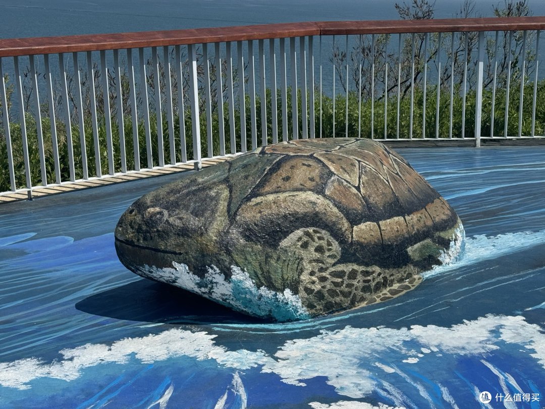 威海l去猫头山看海了!有美好神话的小狸猫