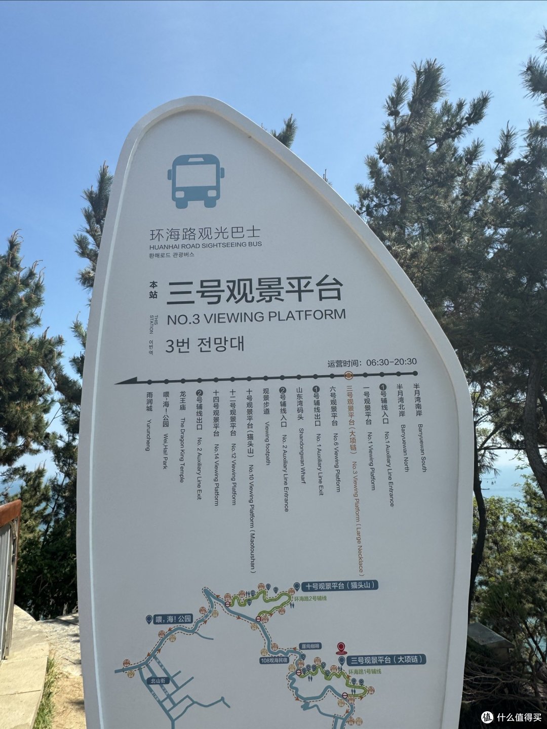 威海l去猫头山看海了!有美好神话的小狸猫