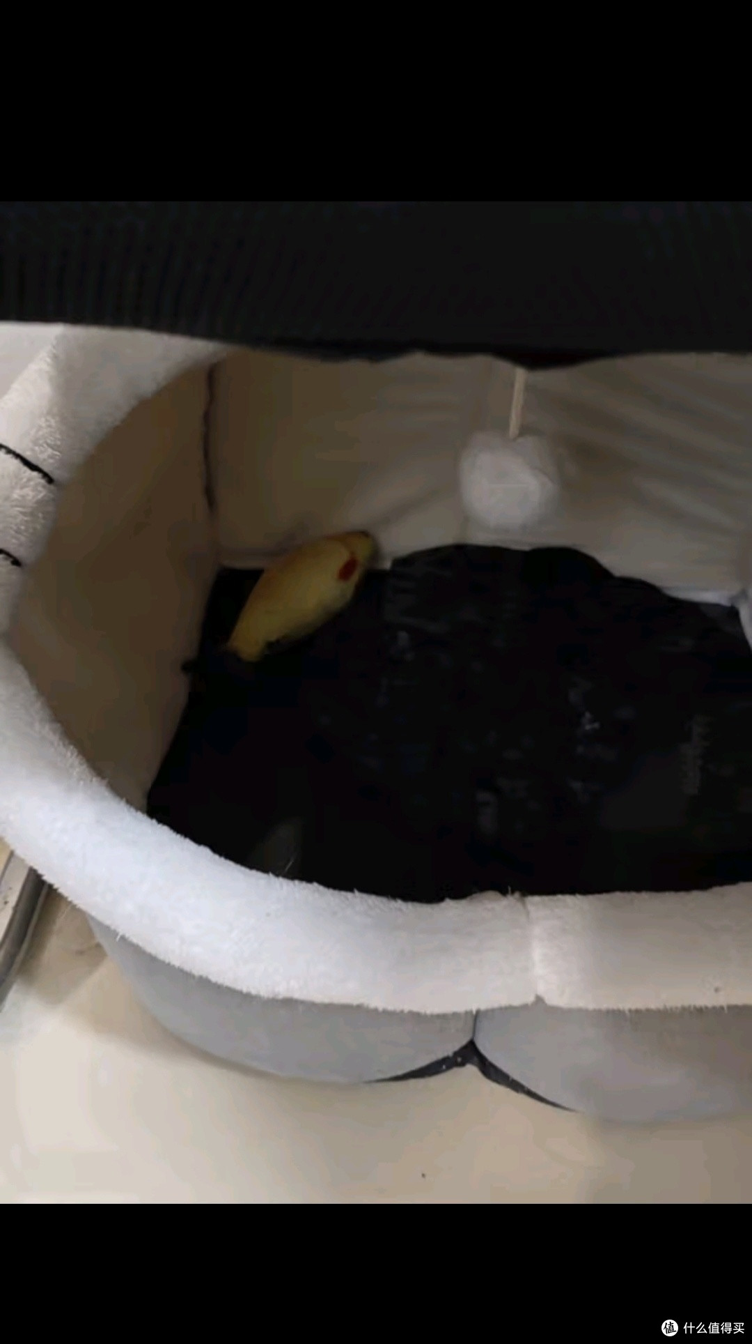 宠爱力猫窝冬天四季通用封闭式猫屋别墅狗窝小型犬加厚猫狗窝猫床猫舍 英短窝小号