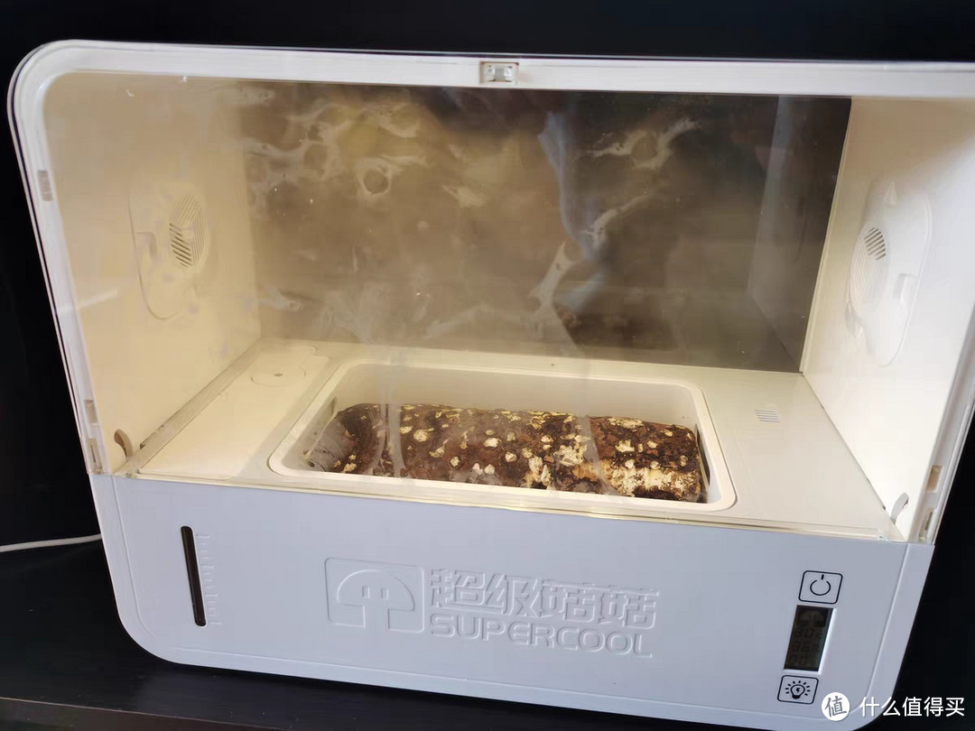 我家居生活的好助手，超级菇菇智能生态箱使用体验分享