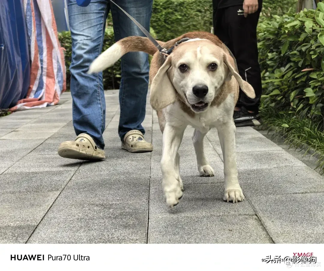 到底“飘”了吗?华为Pura 70 Ultra手机影像初体验