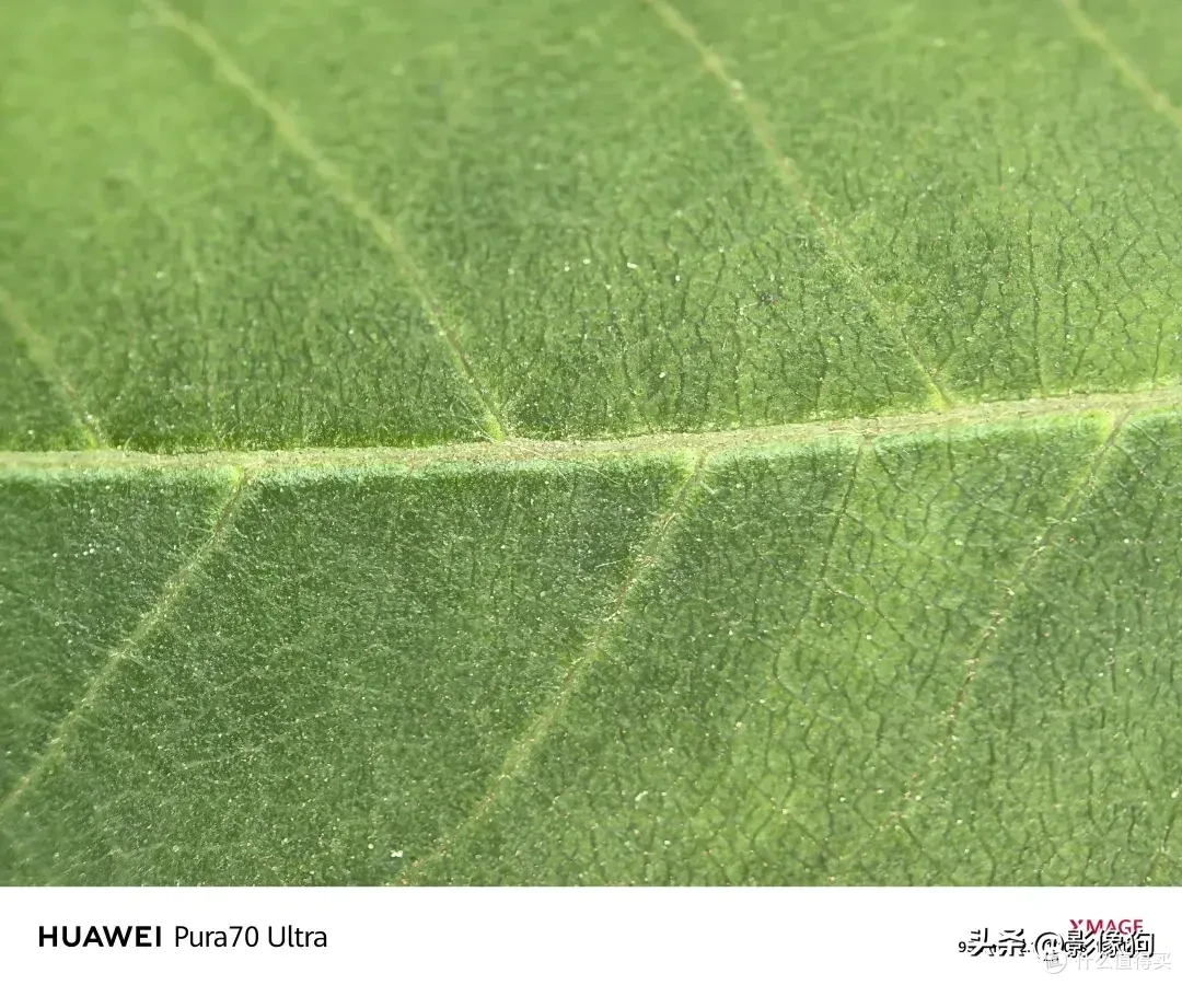 到底“飘”了吗?华为Pura 70 Ultra手机影像初体验