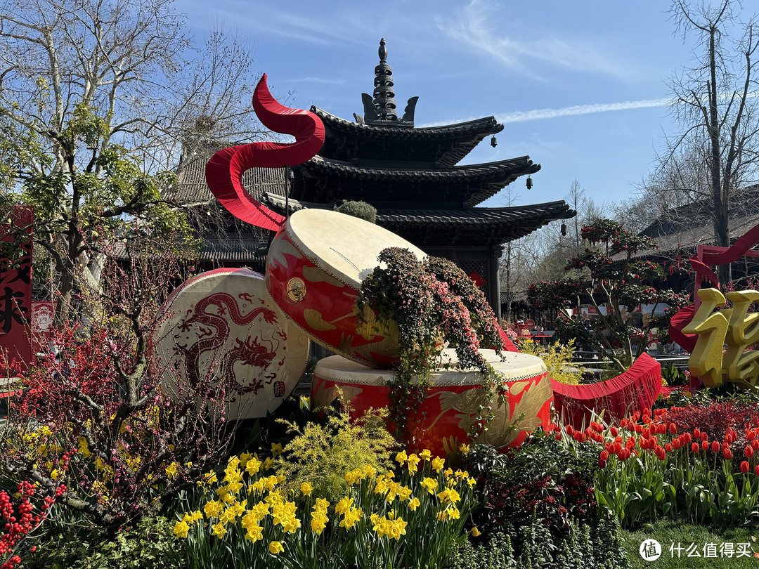 杭州｜钱王祠赏花，看景，有钱有闲有福之地